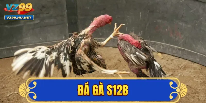 Đá Gà S128